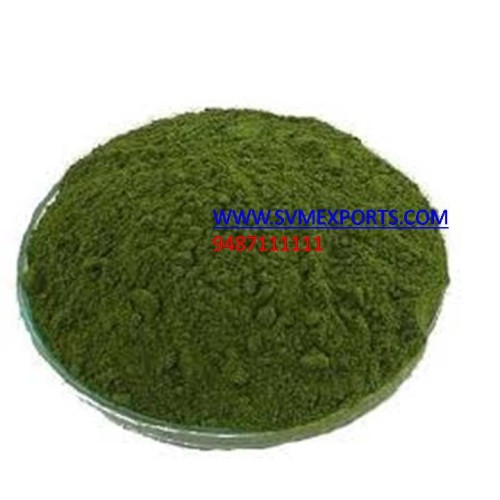 Malunggay oleifera dry leaf powder